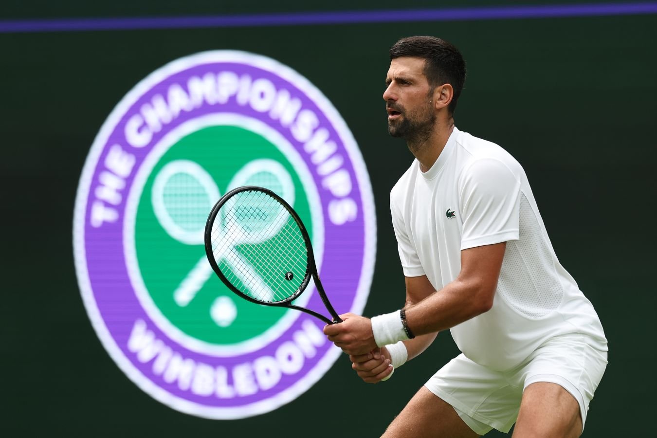 Novak Djokovic à Wimbledon 2026 : parcours possible vers le titre