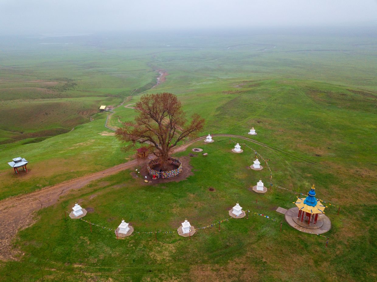 Тополь у посёлка Хар-Булук