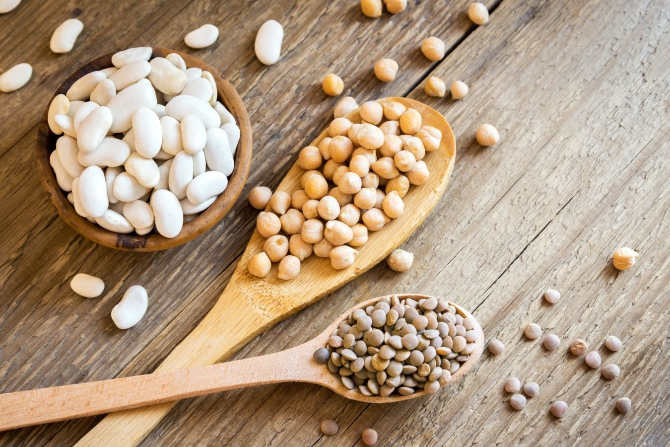 Главный источник растительного белка