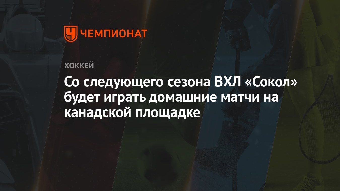 Со следующего сезона ВХЛ «Сокол» будет играть домашние матчи на канадской  площадке - Чемпионат