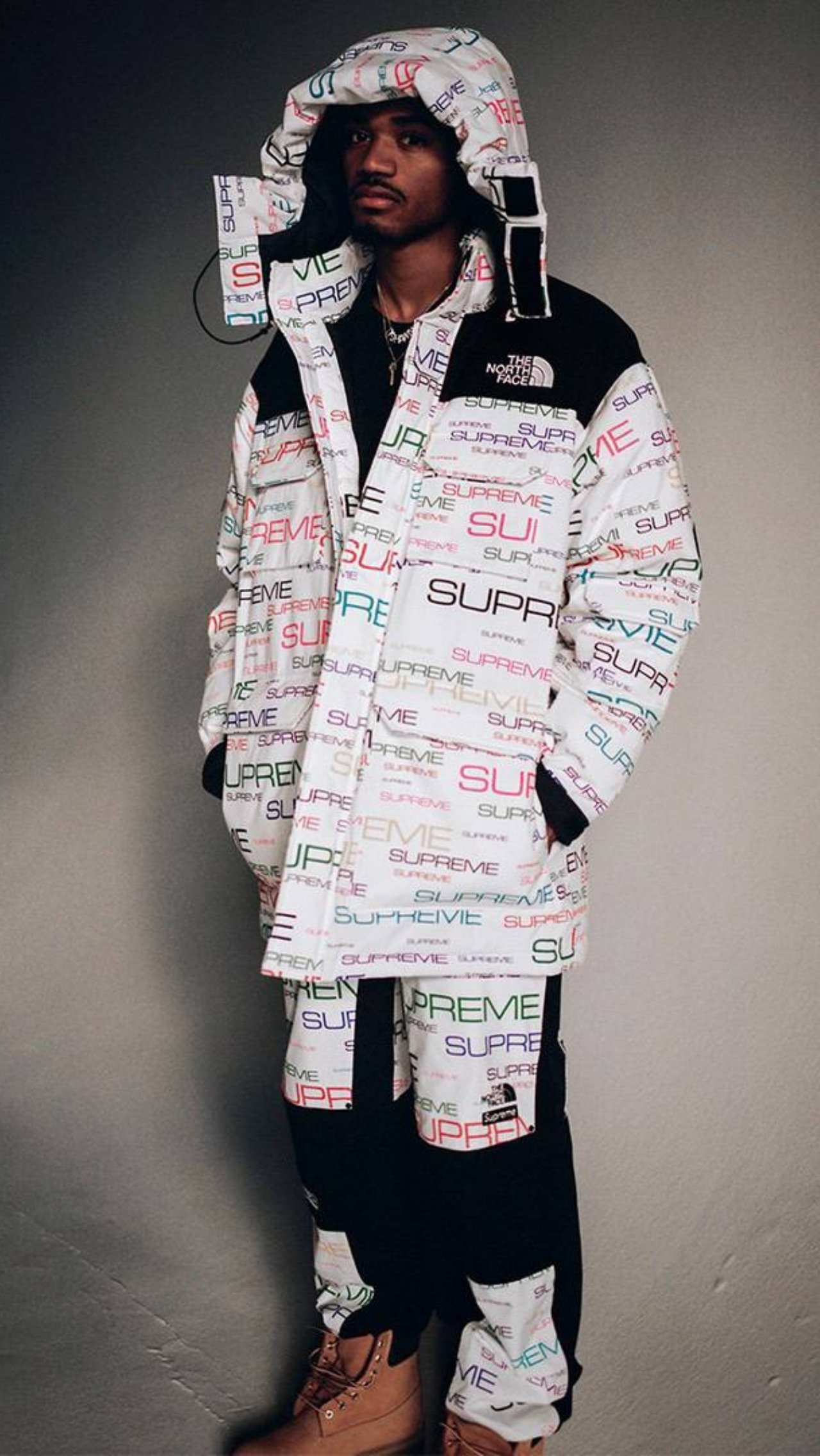 Supreme X The North Face