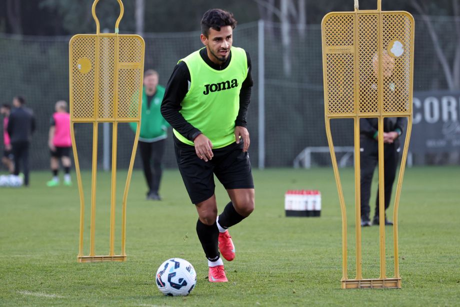 Родриго Руис Диас