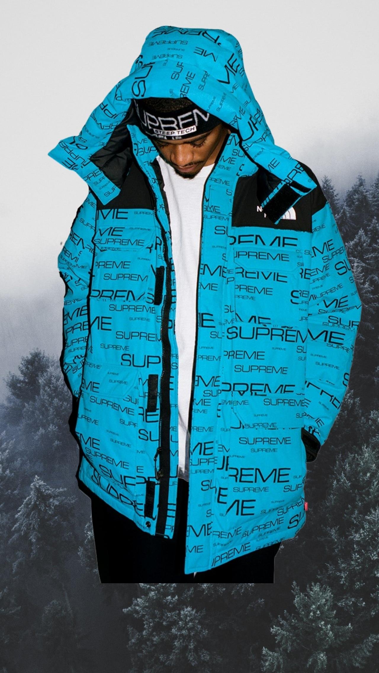 Supreme x The North Face