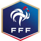 Федерация футбола Франции