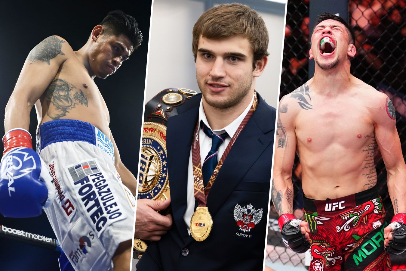 Календарь боёв в ММА и боксе: 23 февраля — 1 марта