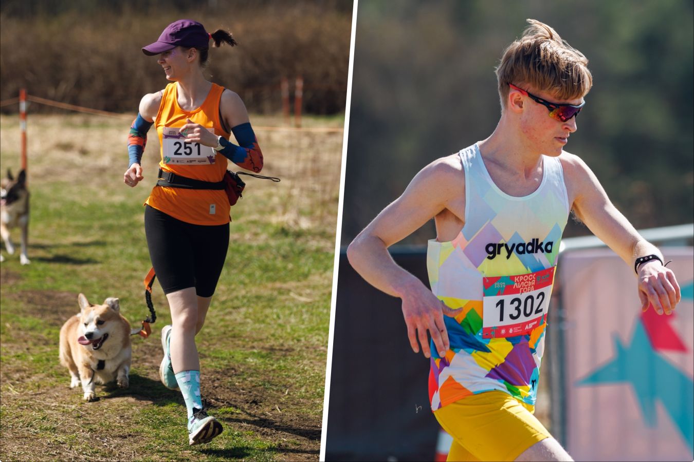 Как пройдут кроссы «Быстрый пёс» и «Лисья гора»?