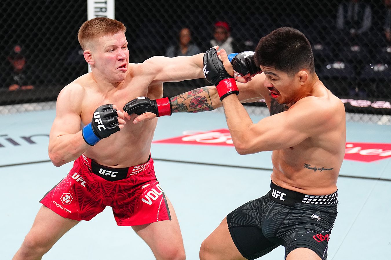 Марк Вологдин — Джон Кастанеда