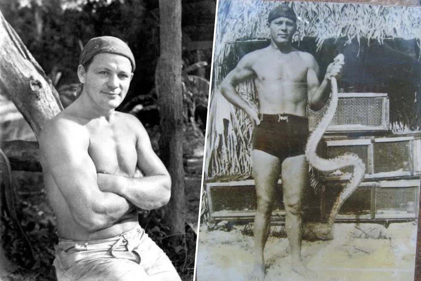 Трэппер Нельсон, укротитель, история