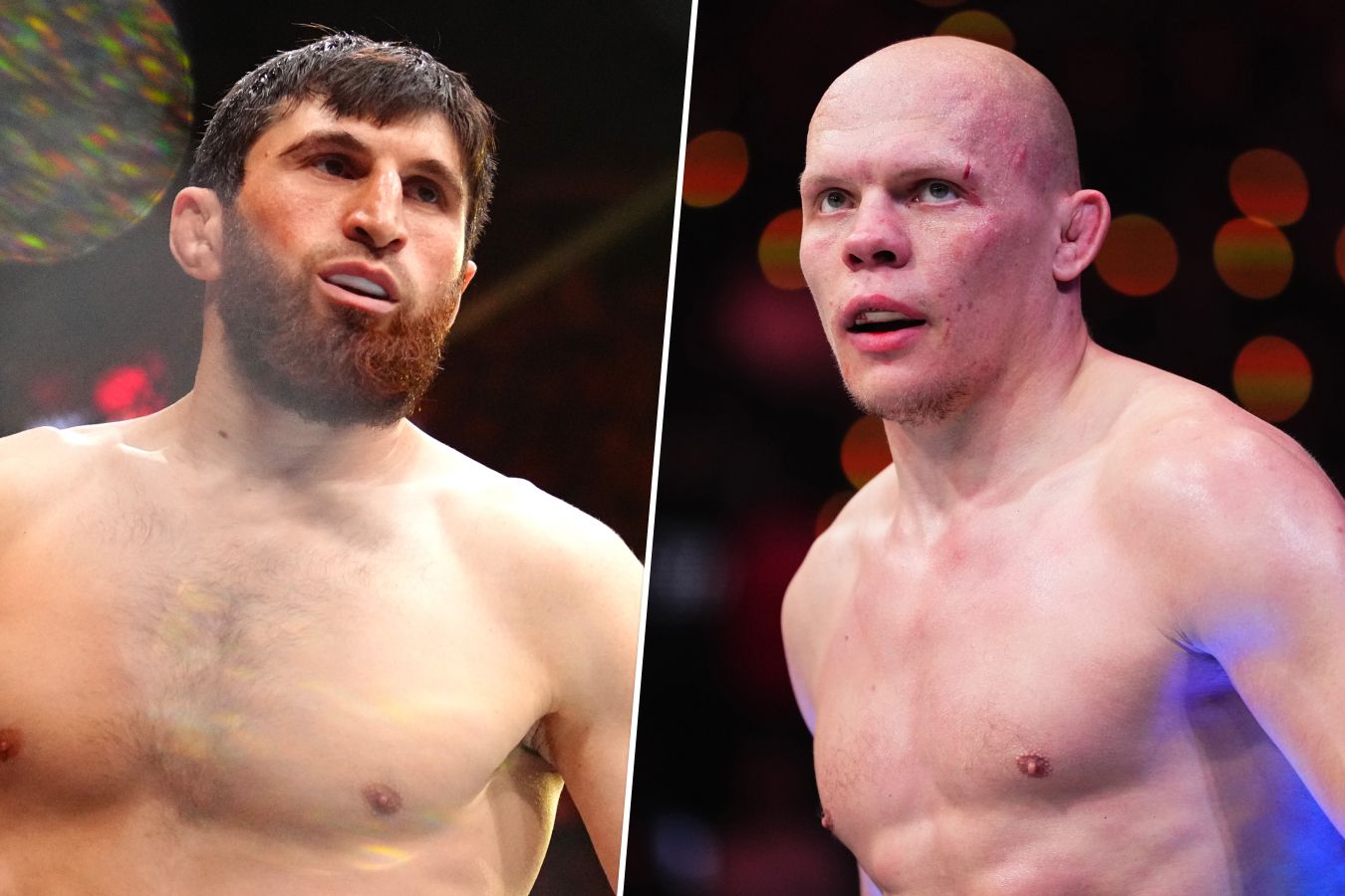 UFC готовит классный турнир в Абу-Даби