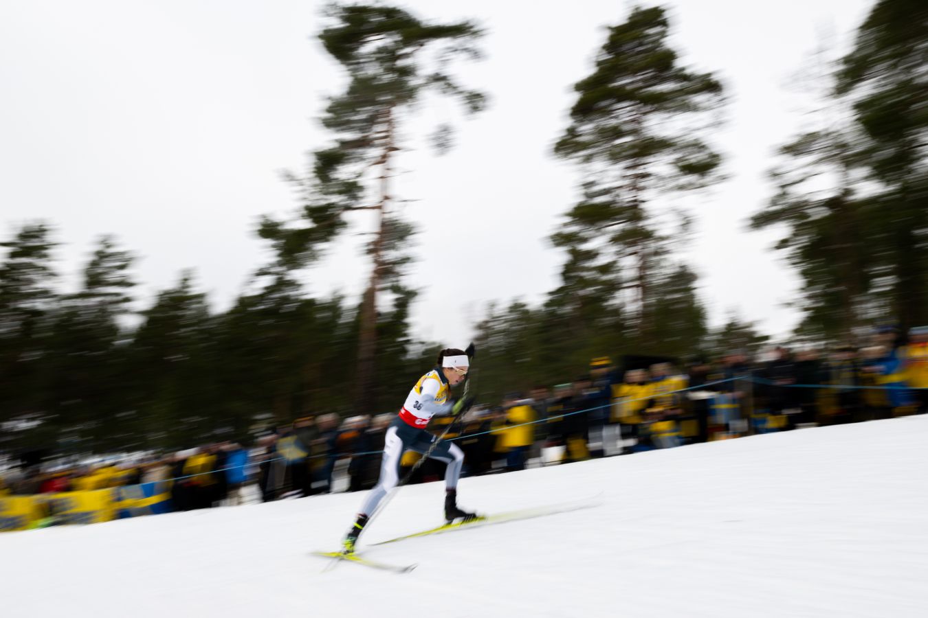 Дарья Непряева