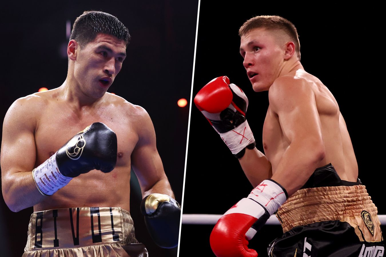 Возможный бой Дмитрий Бивол – Михаэль Айферт