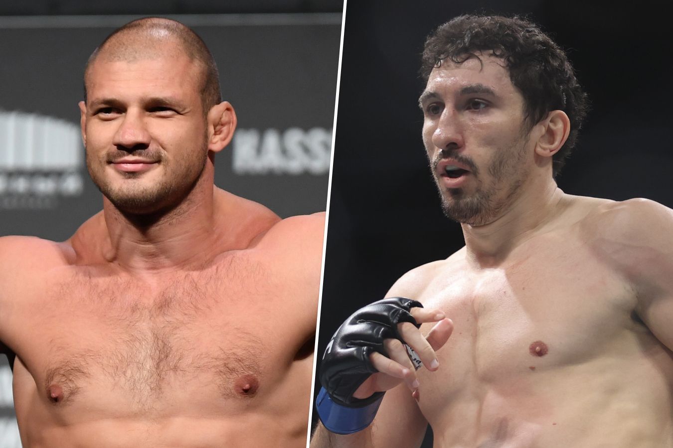 Превью боя Иван Штырков — Армен Петросян