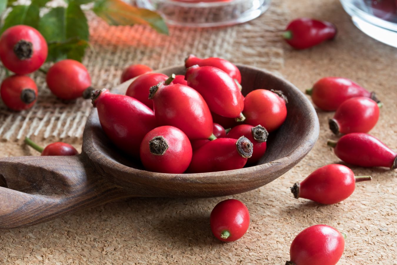 Чем полезен шиповник и как его заваривать?