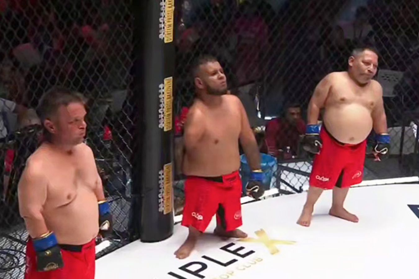 Избиение трёх карликов в поп-ММА