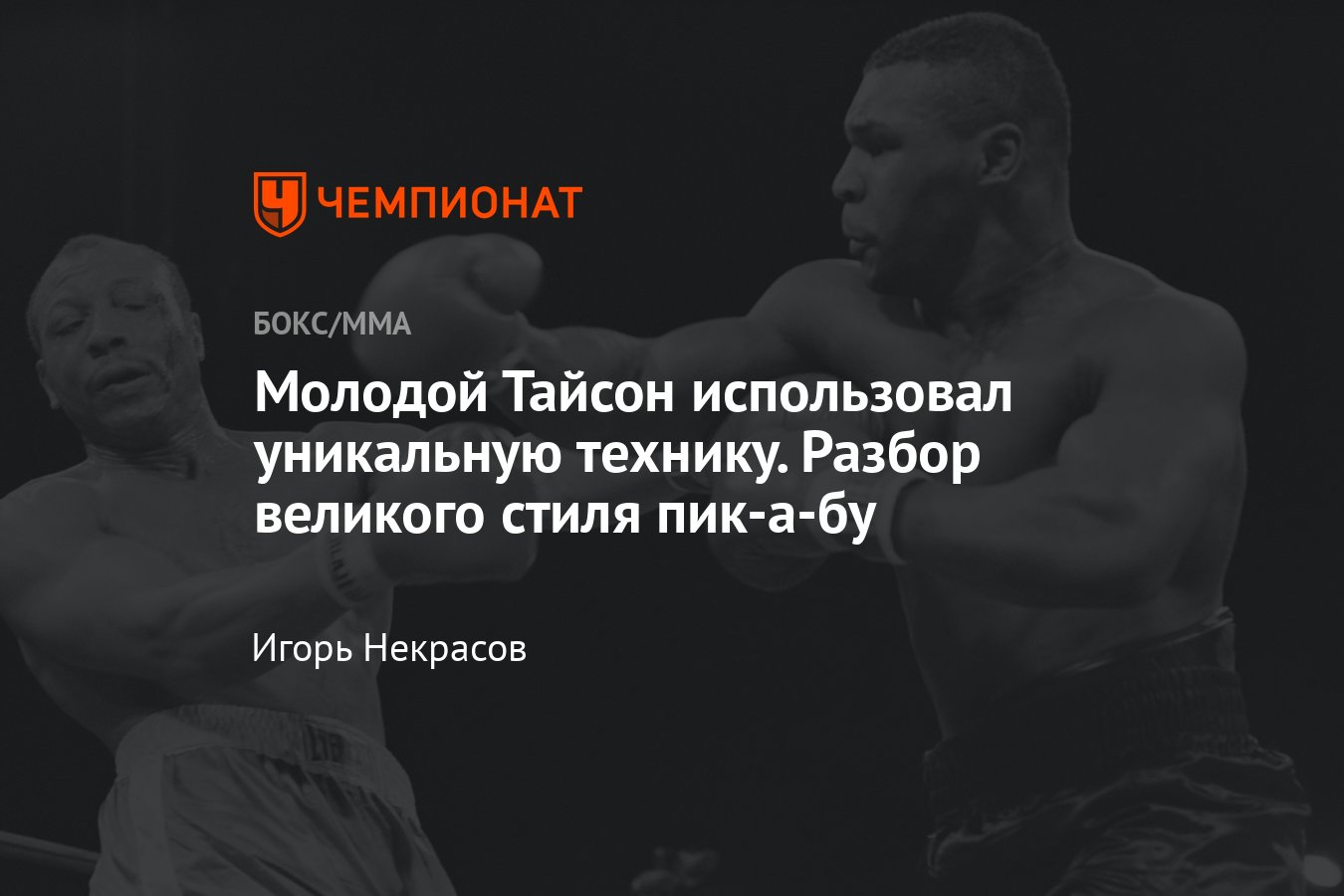 ���� + ���� ������: ����.