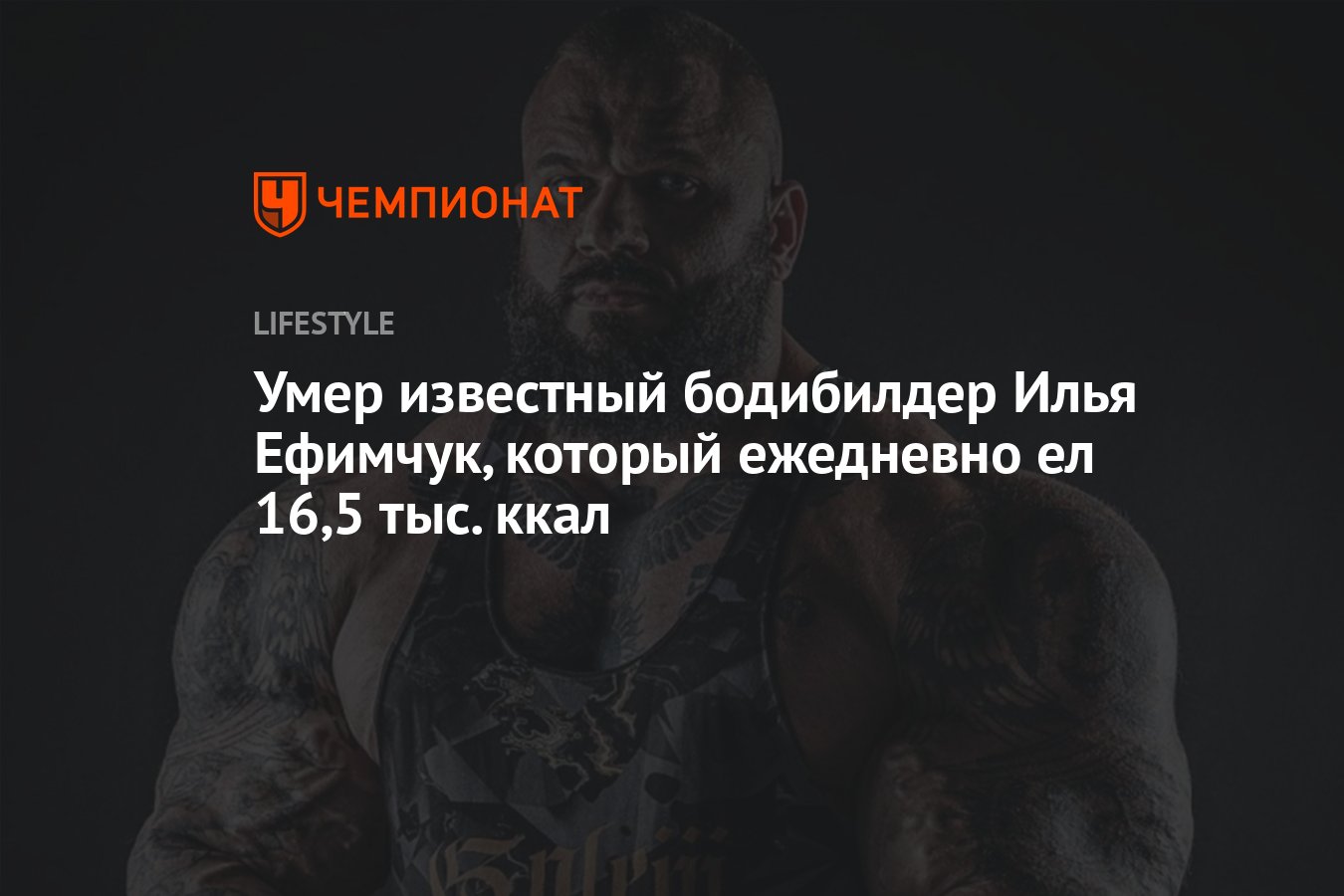 ���������� Sp Labs ������: ����.