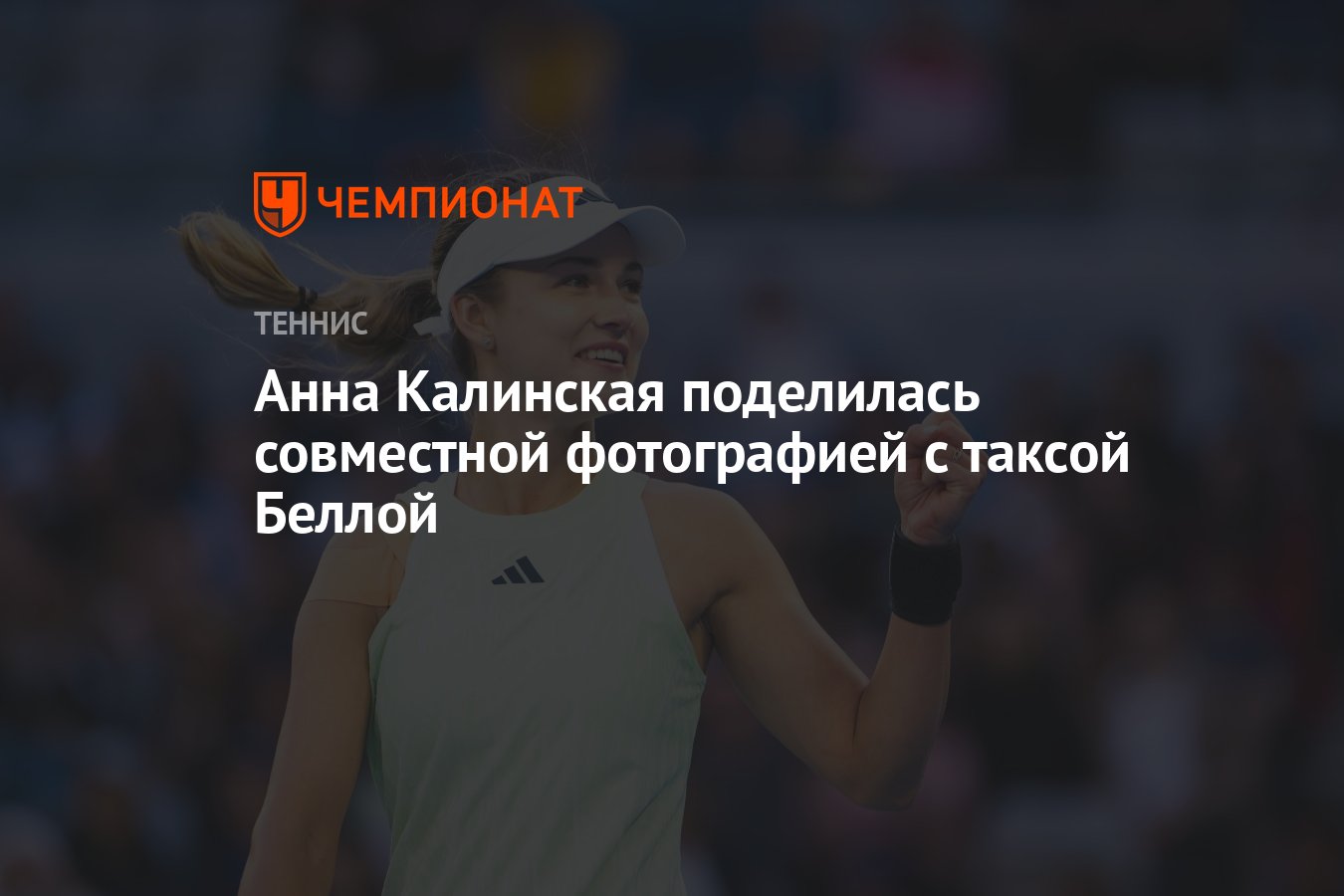 Tamoximed � �������� ��������: ����.