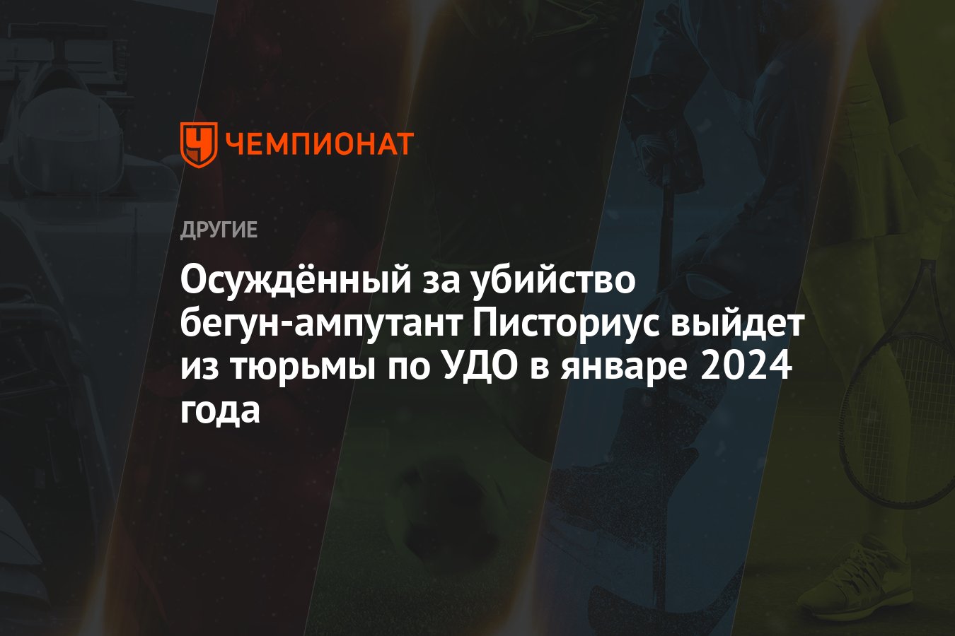 Осуждённый за убийство бегун-ампутант Писториус выйдет из тюрьмы по УДО в  январе 2024 года - Чемпионат