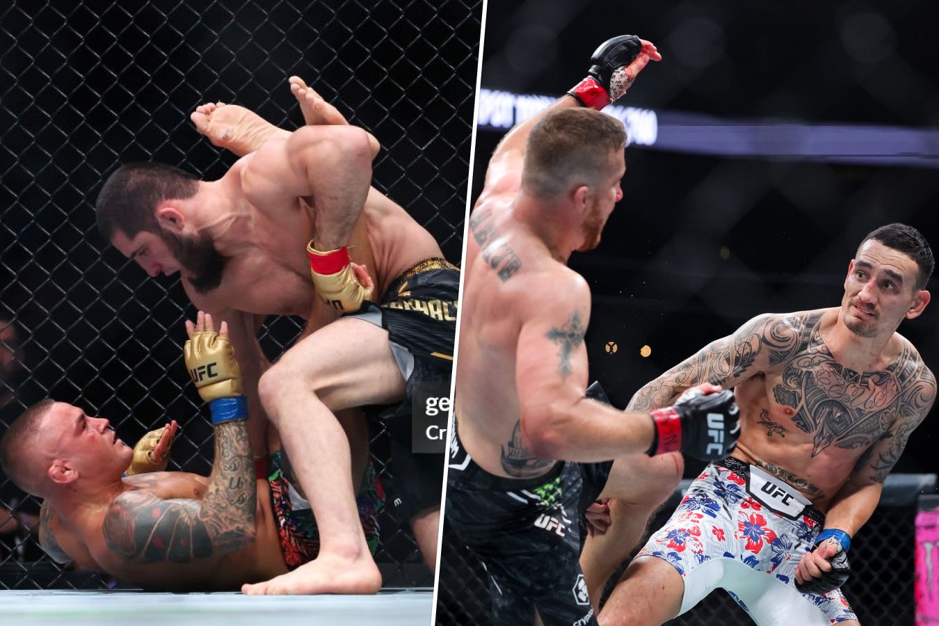 ������� �������� ��� ������ ������������: ����.