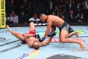 Вырубил Прохазку на одной ноге! Ульберг красиво стал чемпионом UFC