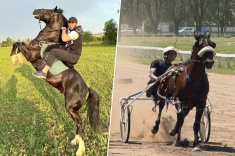 Бойцы UFC, которые любят лошадей