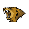 Lynn Vision Gaming