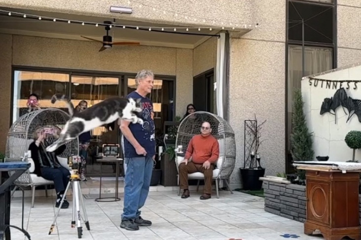 Кот Оскар Кот Оскар