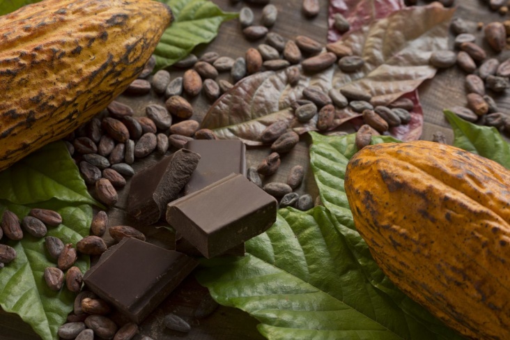 Редкий вирус угрожает мировым поставкам шоколада