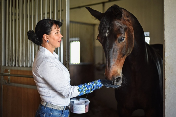 56-летняя Инесса Меркулова из конного спорта