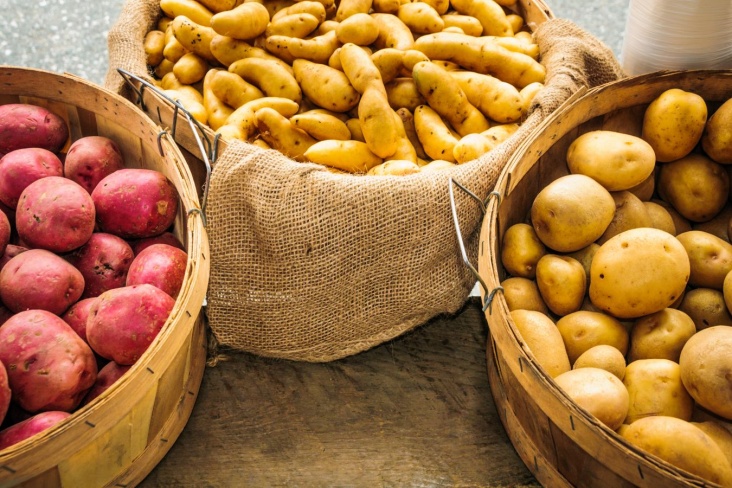 Что полезнее — картофель или батат?