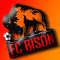 FC BISON