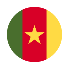Сборная Камеруна — Футбол
